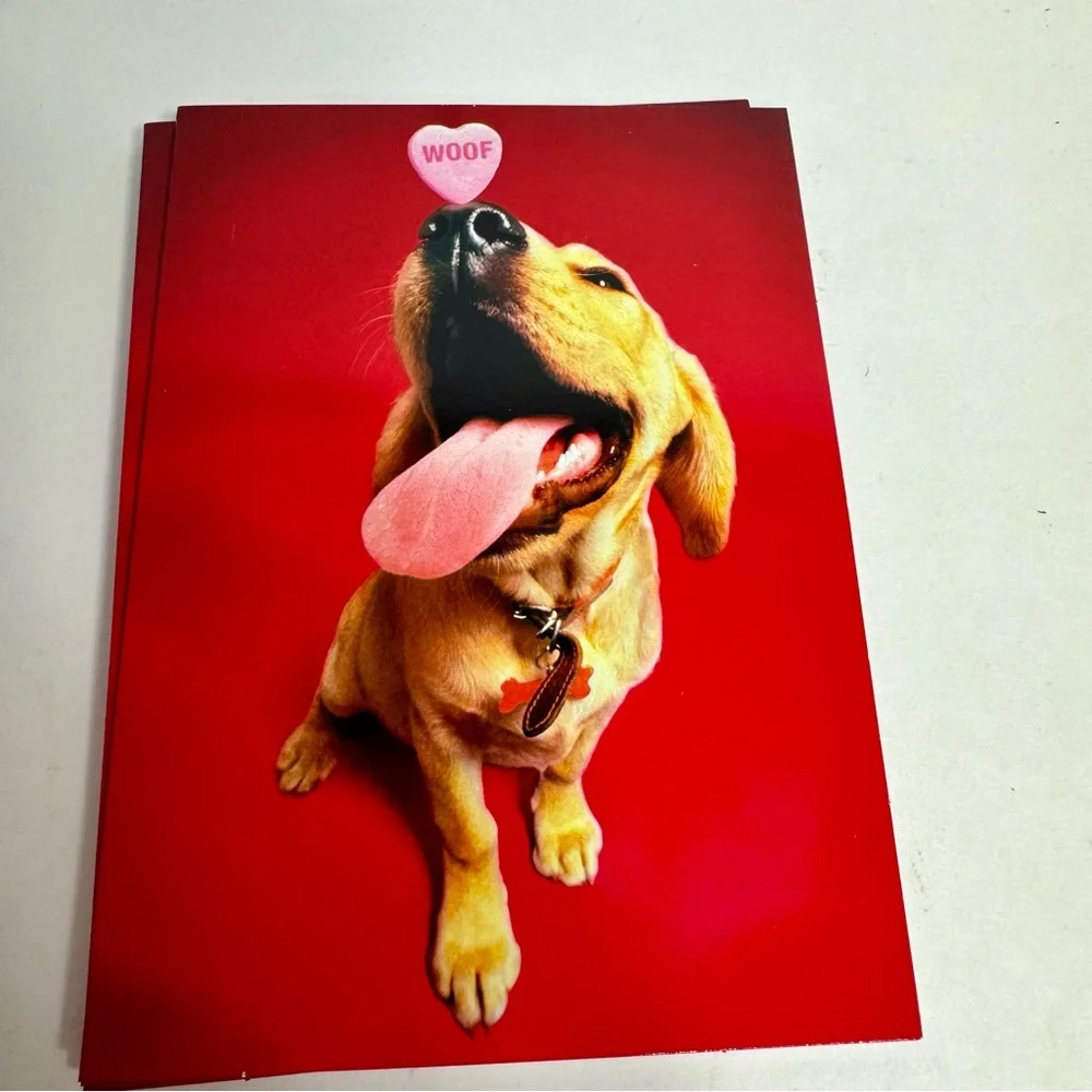 6 Avanti Greeting cards- dog balancing woof pink candy on nose. Valentines Day